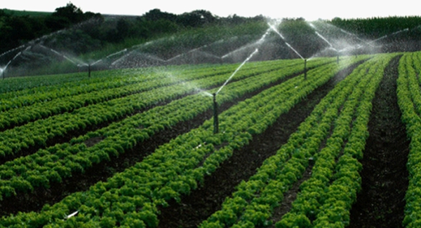 湖口縣高效節(jié)水